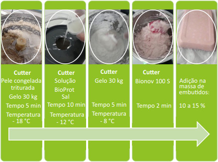 BIOPROT